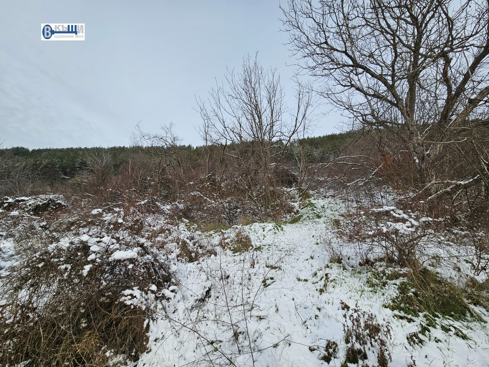 ������� ������ | Imot.bg � ����������� 5