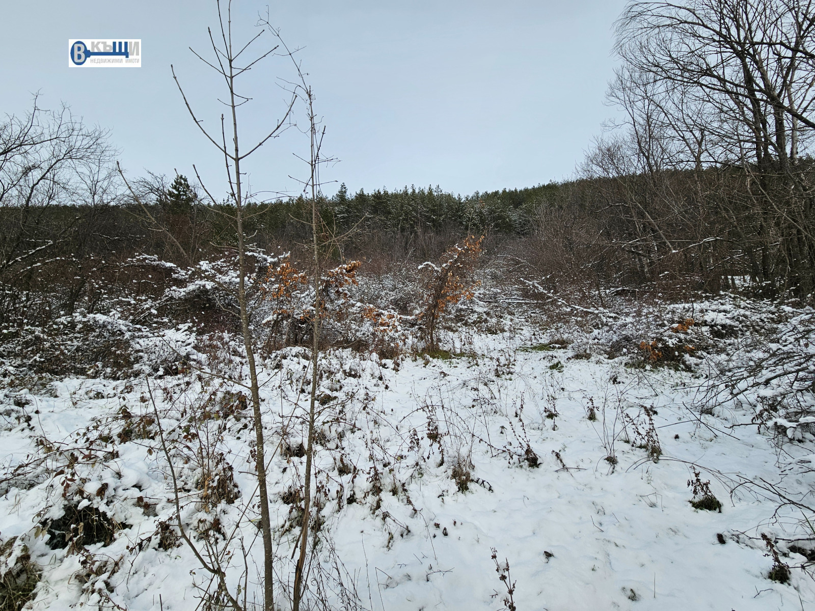 ������� ������ | Imot.bg � ����������� 1