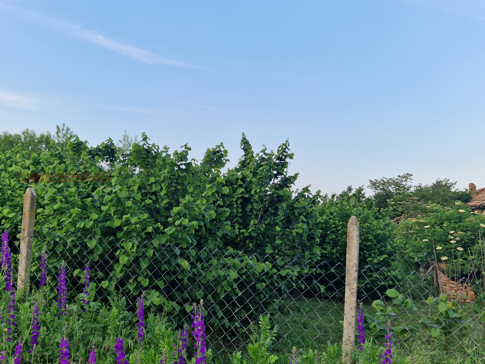 ������� ����� | Imot.bg � ����������� 10