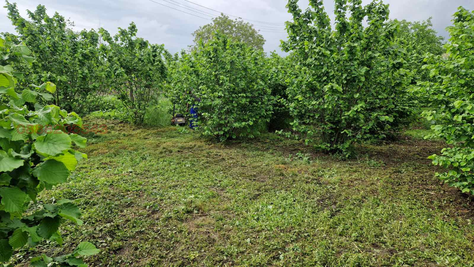 ������� ����� | Imot.bg � ����������� 12