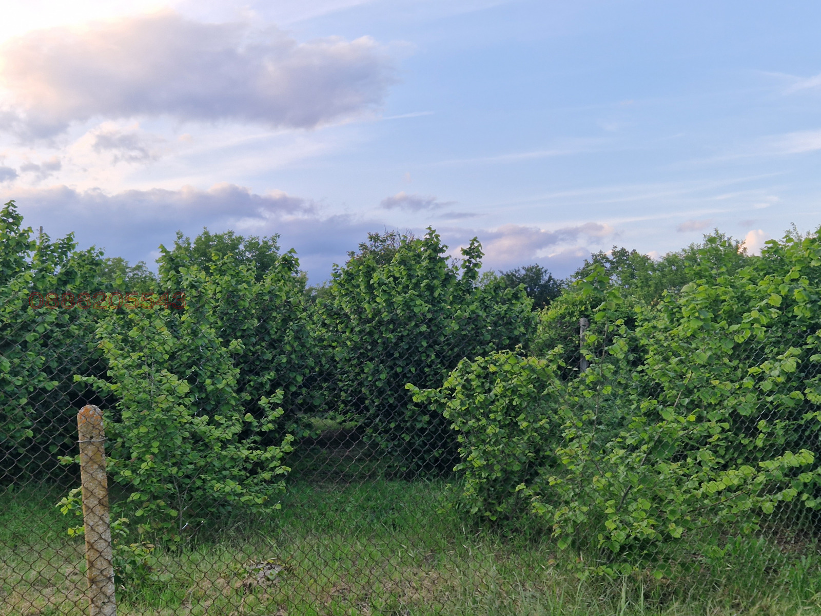 ������� ����� | Imot.bg � ����������� 7