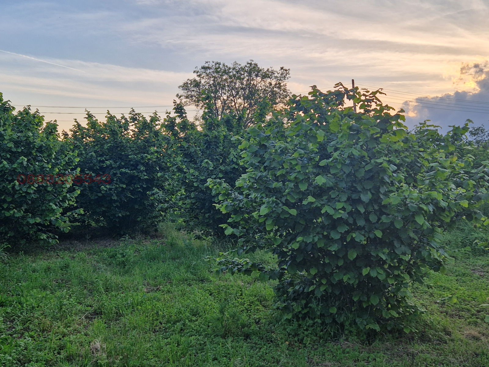 ������� ����� | Imot.bg � ����������� 4