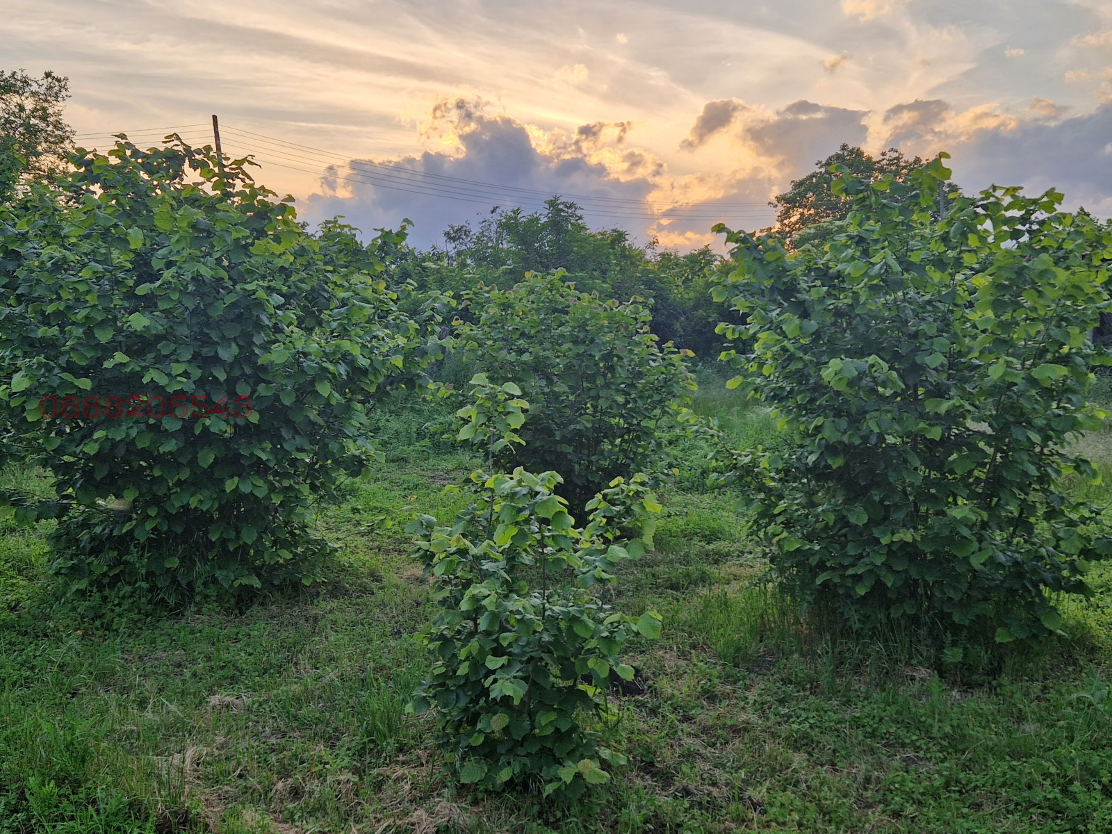 ������� ����� | Imot.bg � ����������� 3