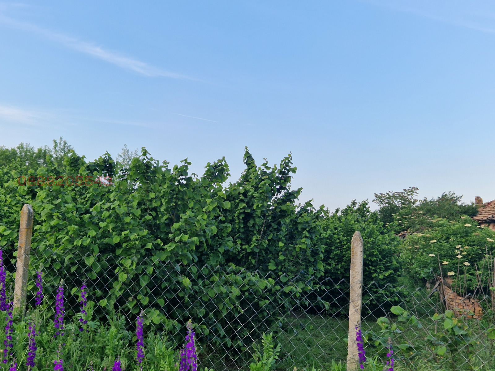 ������� ����� | Imot.bg � ����������� 11