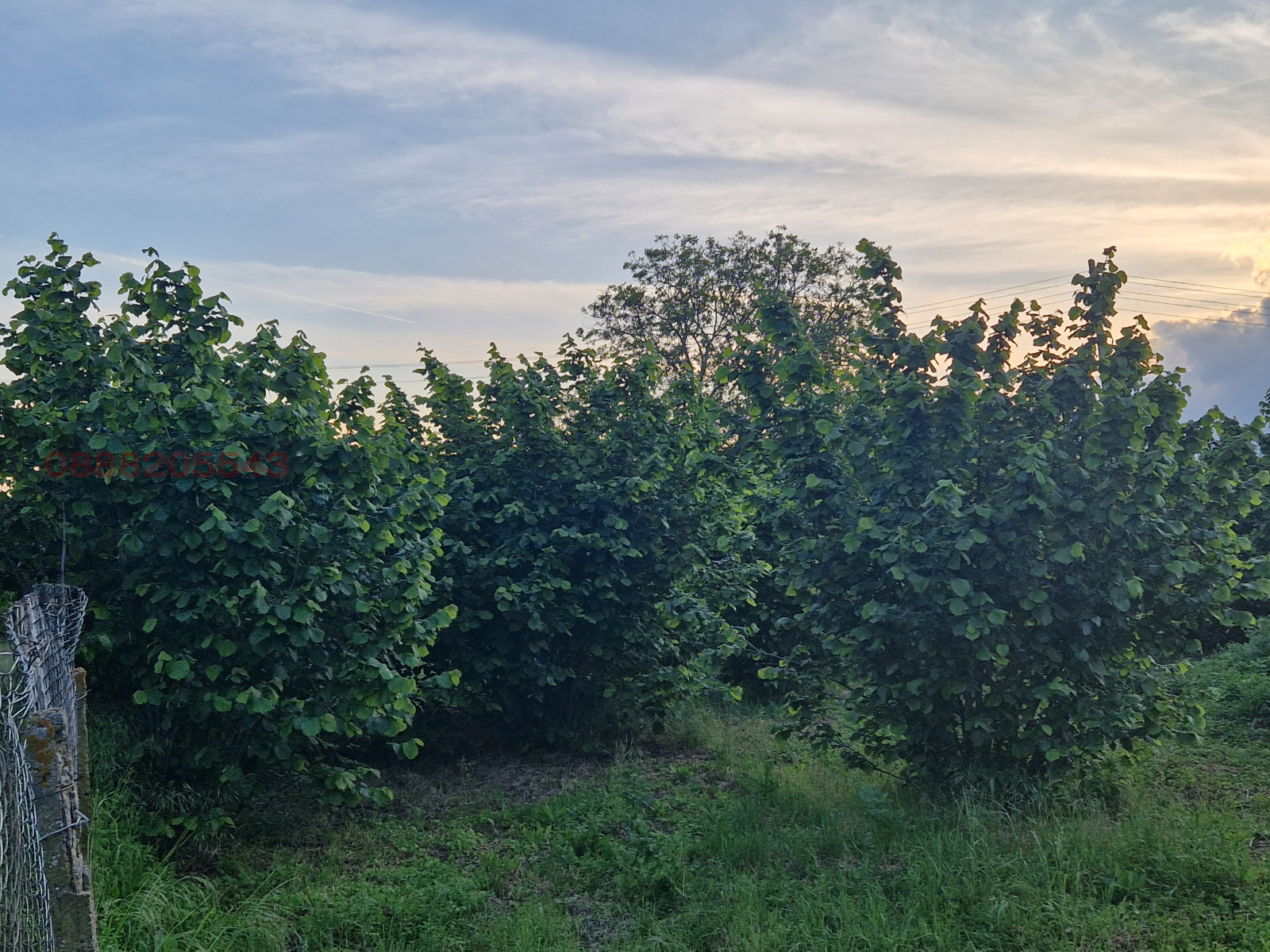 ������� ����� | Imot.bg � ����������� 2