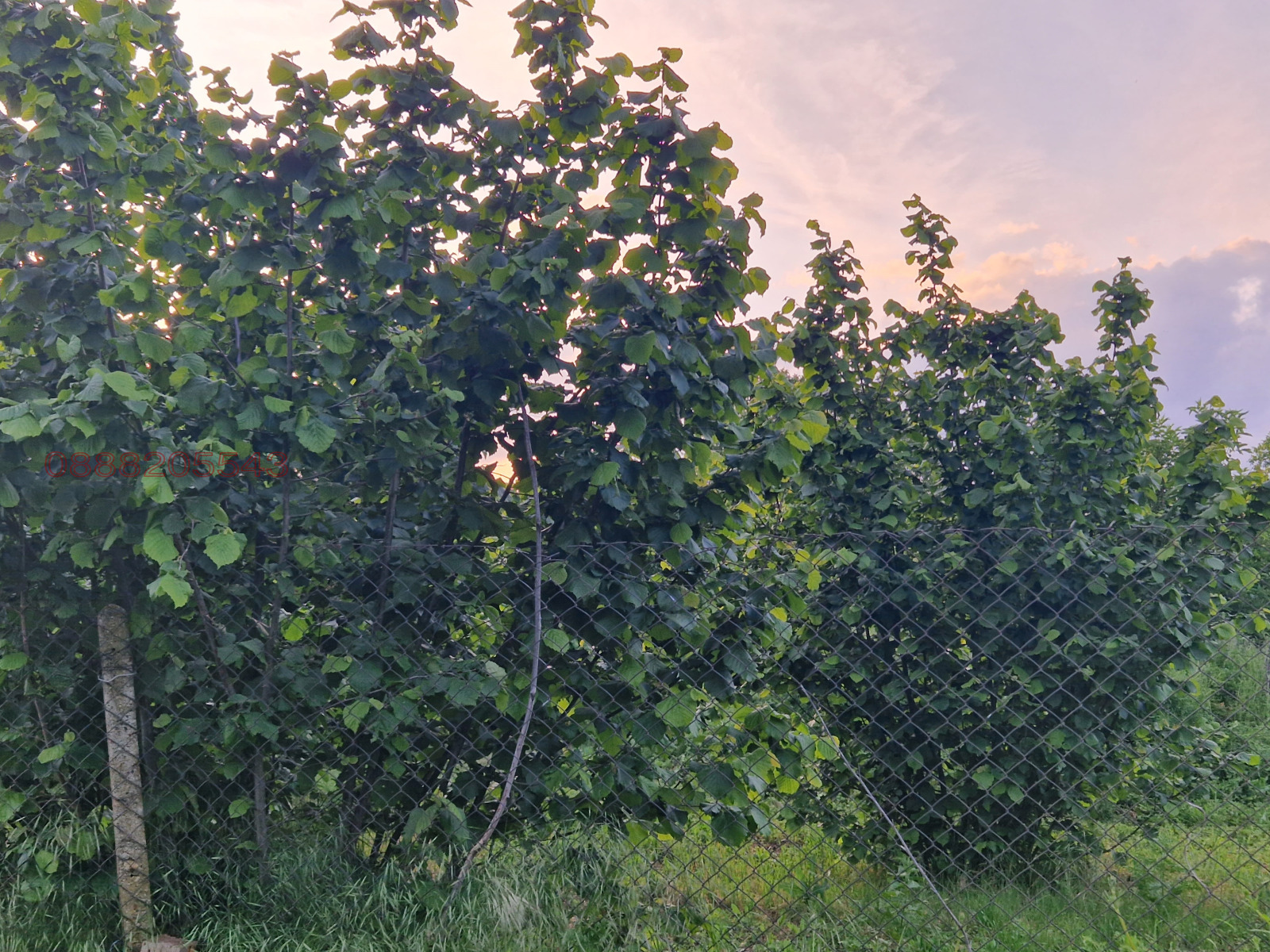 ������� ����� | Imot.bg � ����������� 6