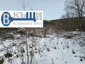 ����� ������� ������,�. �������, ������ ������ �������