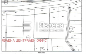 ������ ������� ������