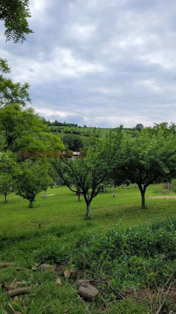 Продава ПАРЦЕЛ, с. Николово, област Русе, снимка 3 - Парцели - 52785441