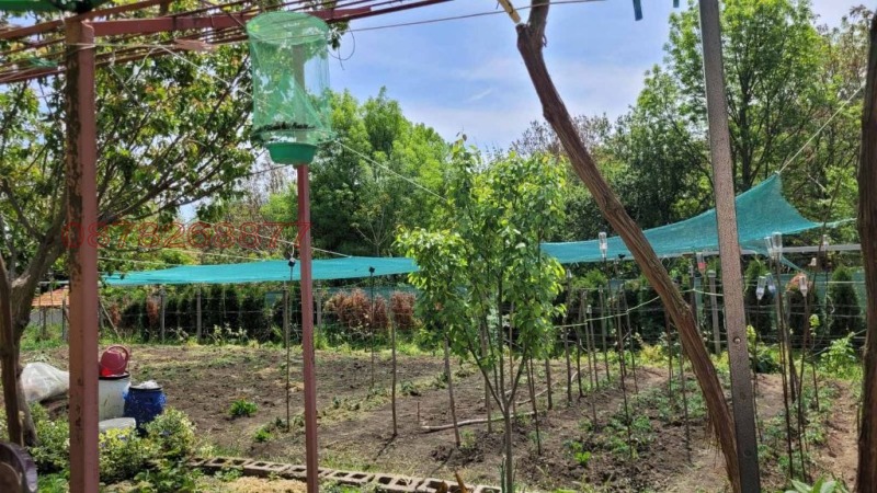 Продава ПАРЦЕЛ, с. Николово, област Русе, снимка 4 - Парцели - 52785441