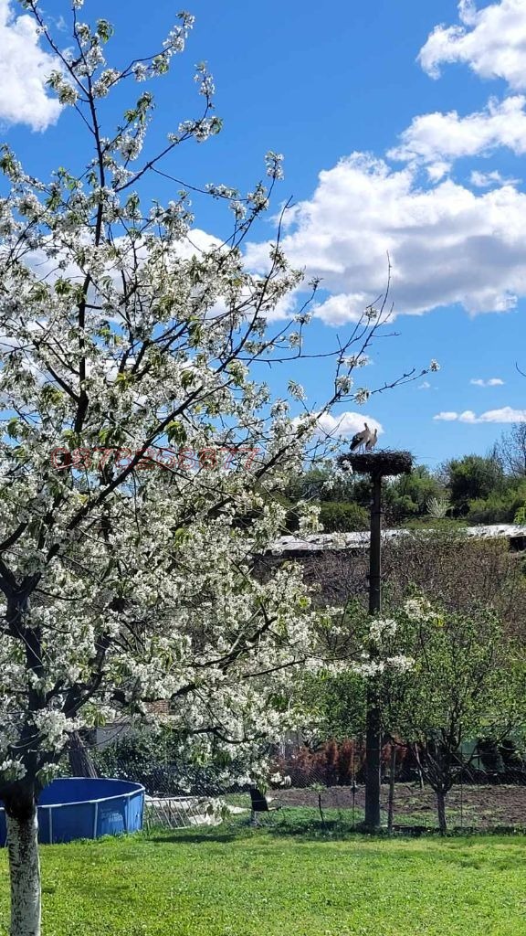 Продава ПАРЦЕЛ, с. Николово, област Русе, снимка 7 - Парцели - 52785441