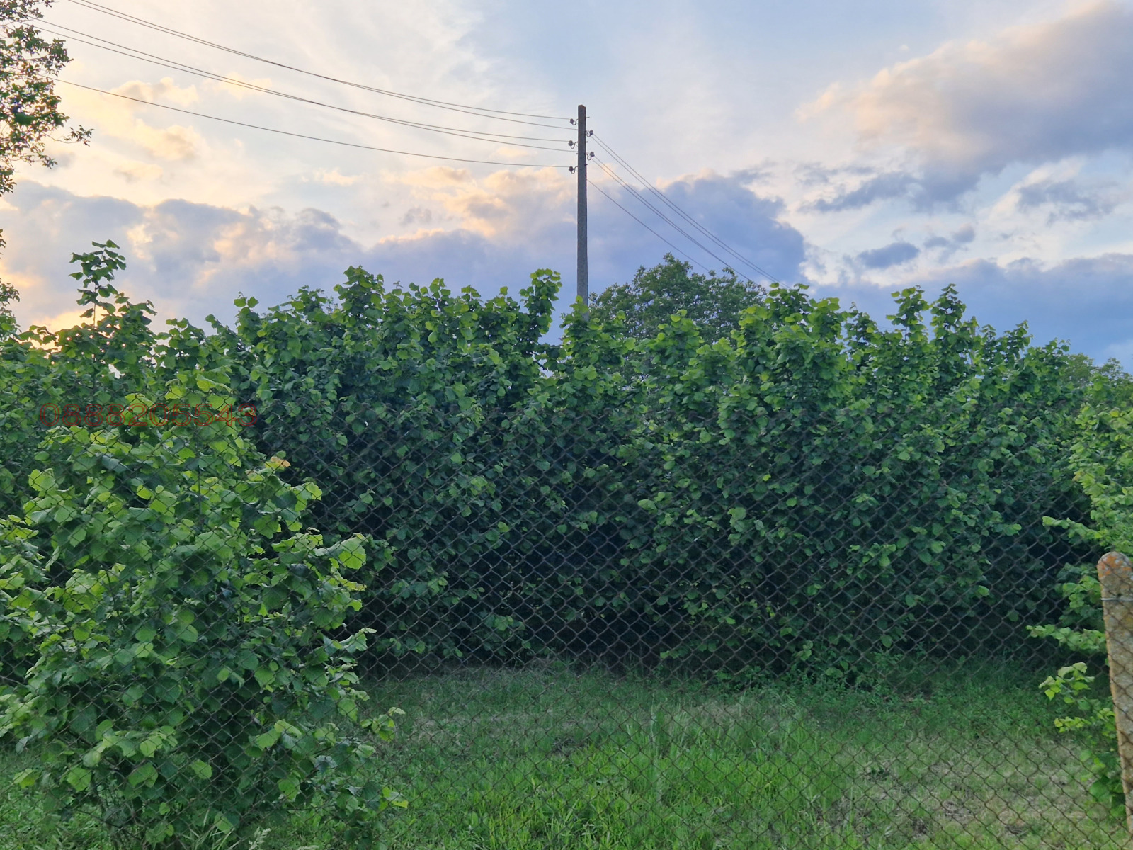 Продава БИЗНЕС ИМОТ, с. Караманите, област Варна, снимка 9 - Други - 54889765