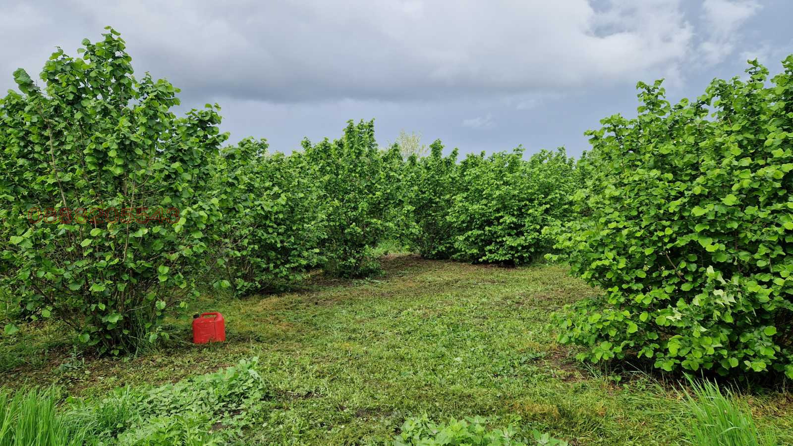 Продава БИЗНЕС ИМОТ, с. Караманите, област Варна, снимка 13 - Други - 54889765