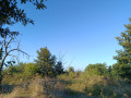 Продава ЗЕМЕДЕЛСКА ЗЕМЯ, с. Равна гора, област Варна, снимка 2