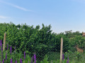 Продава БИЗНЕС ИМОТ, с. Караманите, област Варна, снимка 10