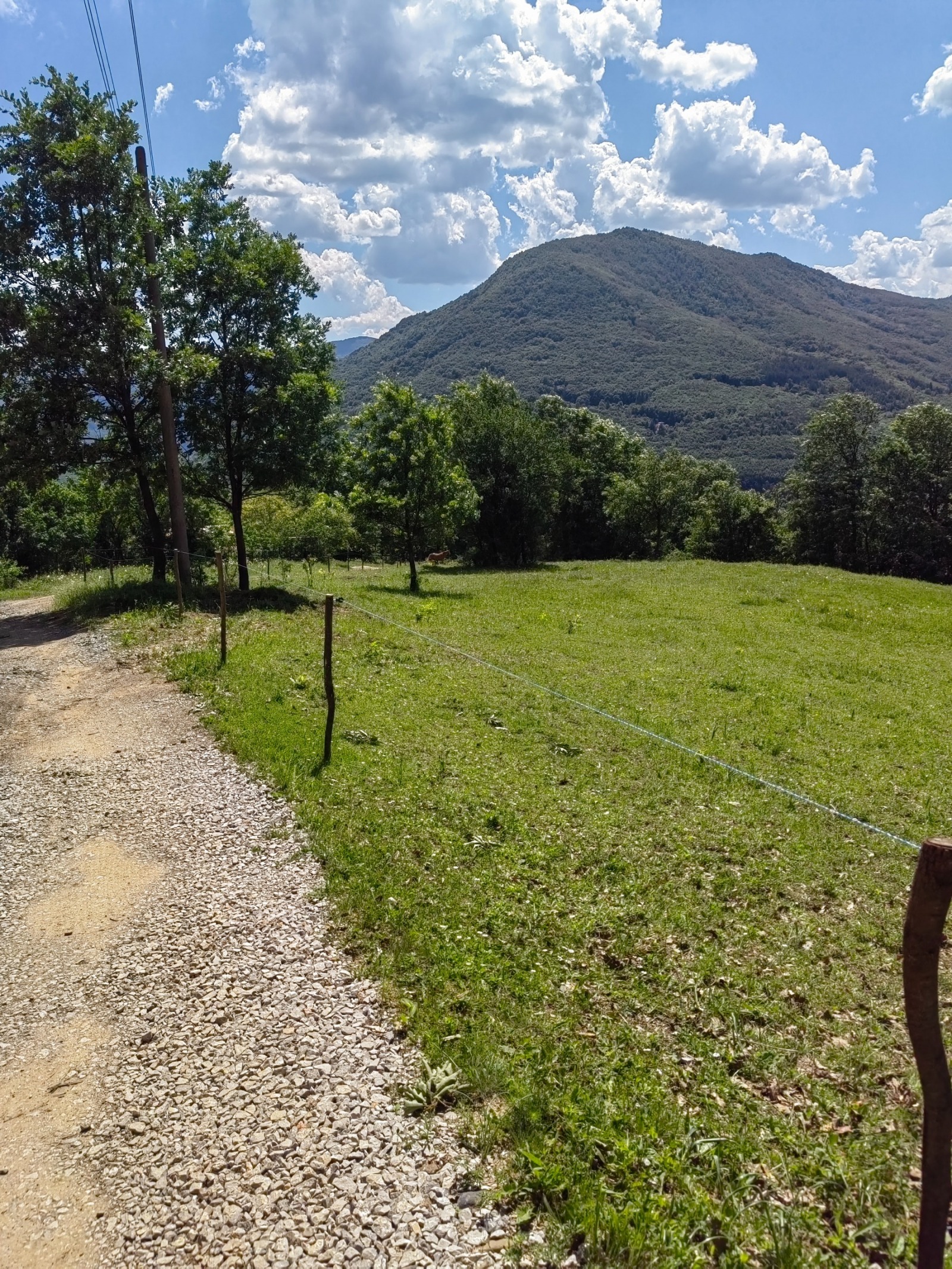 ������� ���� | Imot.bg � ����������� 12