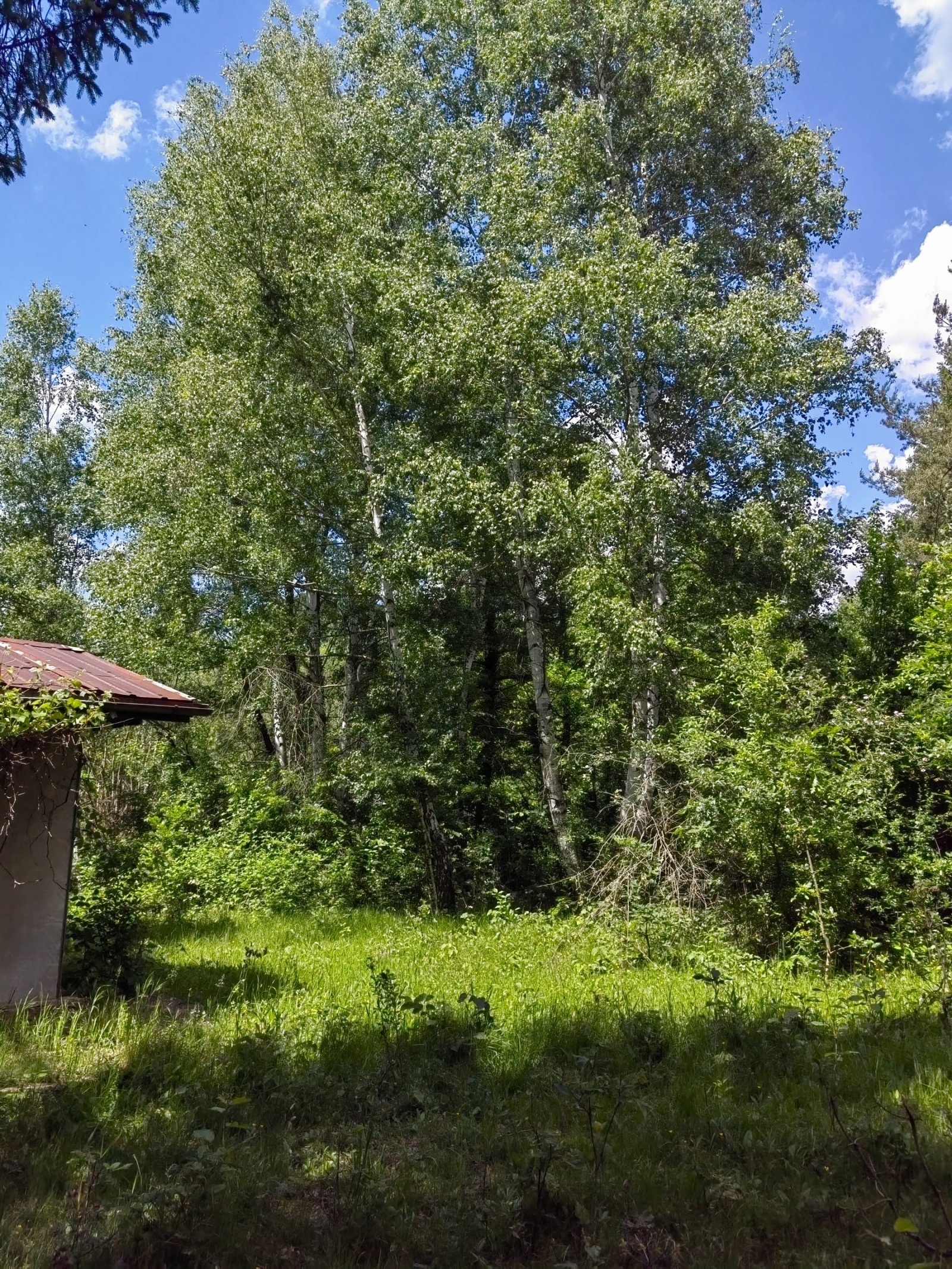 ������� ���� | Imot.bg � ����������� 11