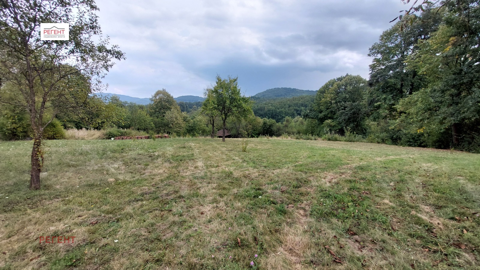 ������� ������ | Imot.bg � ����������� 1