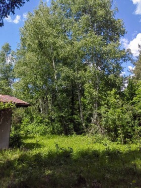 ������� ���� | Imot.bg � ����� ������ 11