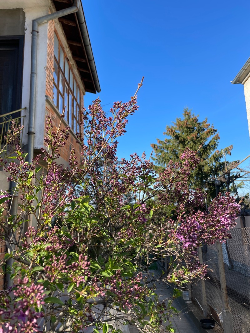 Προς πώληση  σπίτι περιοχή Plovdiv , Βελατστητσα , 134 τ.μ | 83754032 - εικόνα [2]