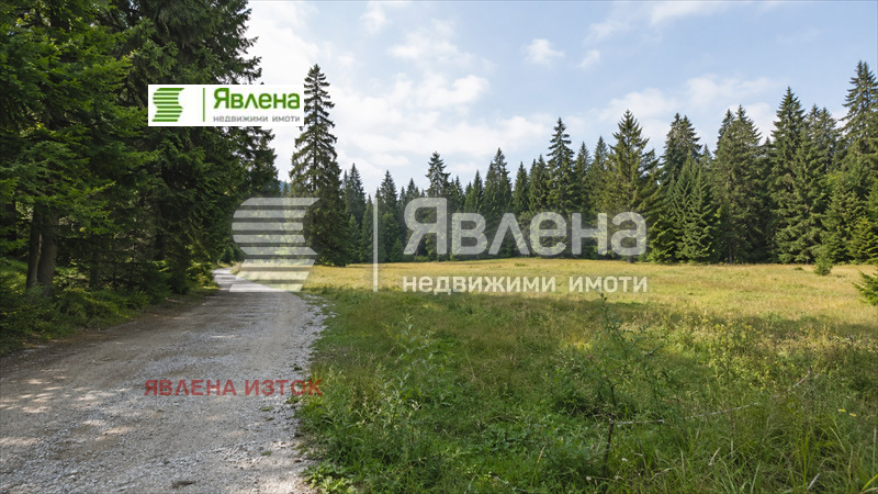 Продава ПАРЦЕЛ, к.к. Боровец, област София област, снимка 3 - Парцели - 55437353