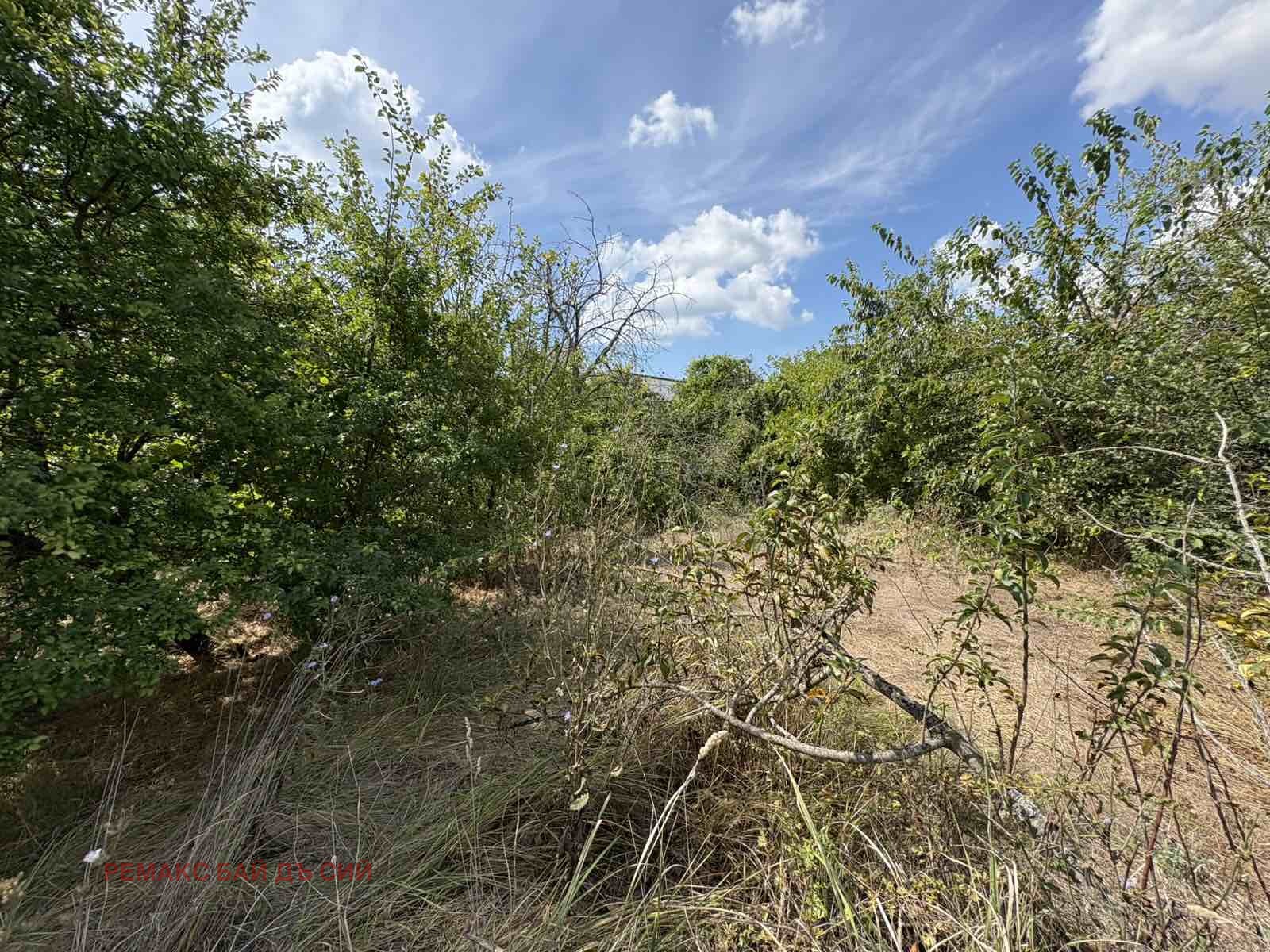 Продава ПАРЦЕЛ, с. Топола, област Добрич, снимка 4 - Парцели - 56193267