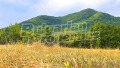 Продава ПАРЦЕЛ, с. Лазарци, област Велико Търново, снимка 6