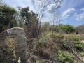 Продава ПАРЦЕЛ, с. Топола, област Добрич, снимка 8