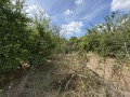 Продава ПАРЦЕЛ, с. Топола, област Добрич, снимка 4