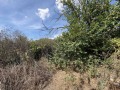 Продава  Парцел област Добрич , с. Топола , 2863 кв.м | 56555878 - изображение [6]