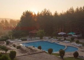 ����� ������� �����,��. ���������, ������ ���������