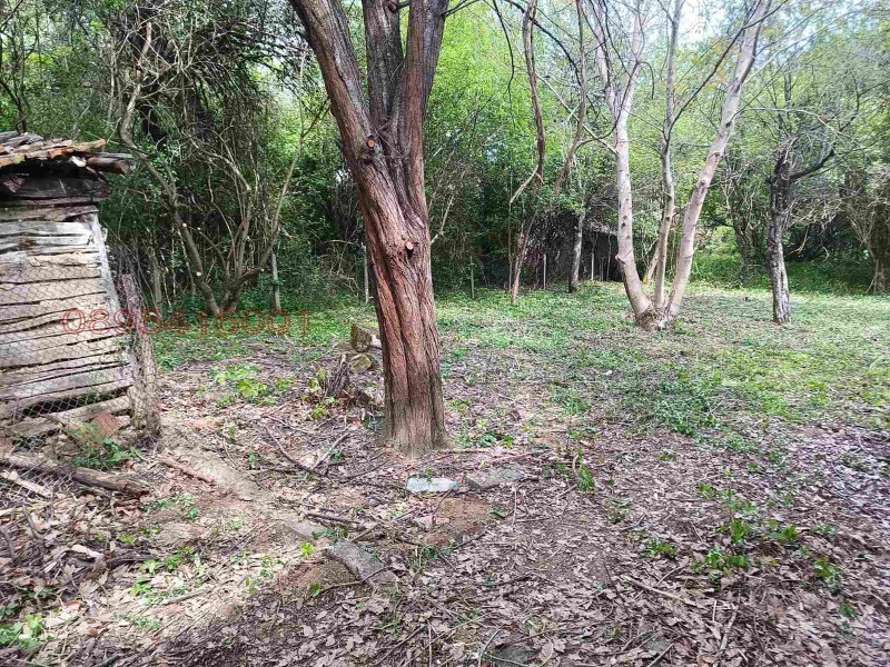 For Sale  Plot region Pernik , Strezimirovtsi , 1190 sq.m | 17929316 - image [6]