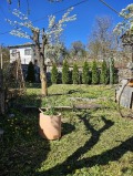 Продава  Къща област София , с. Несла , 140 кв.м | 38719010