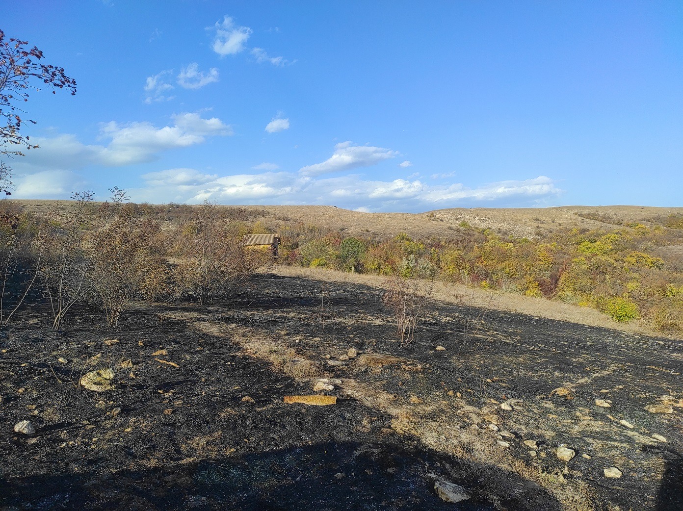 ������� ������ | Imot.bg � ����������� 8