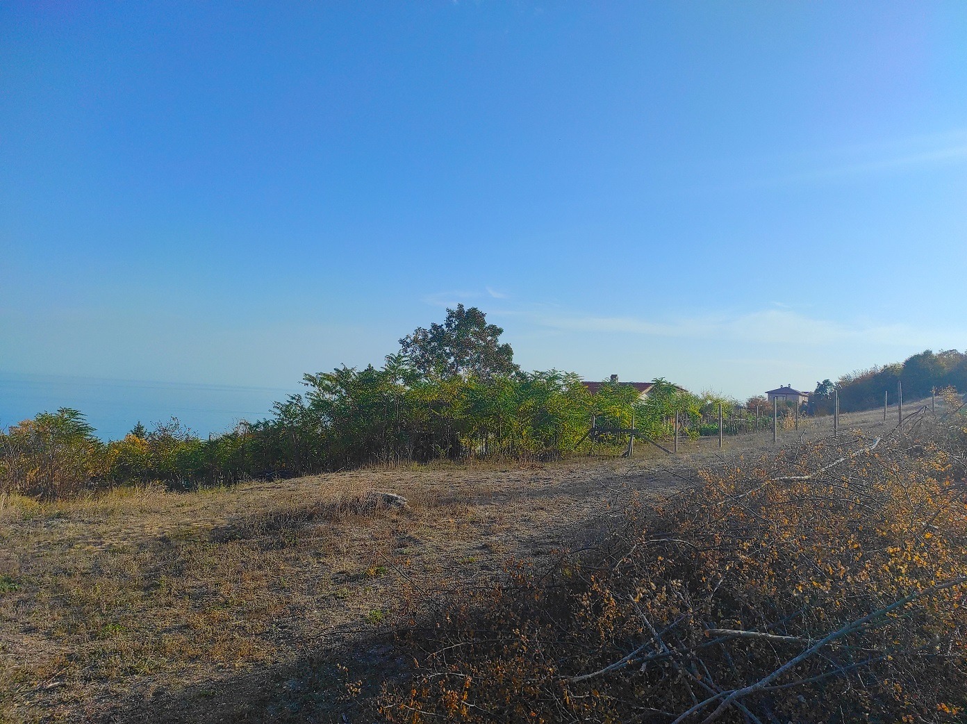 ������� ������ | Imot.bg � ����������� 6