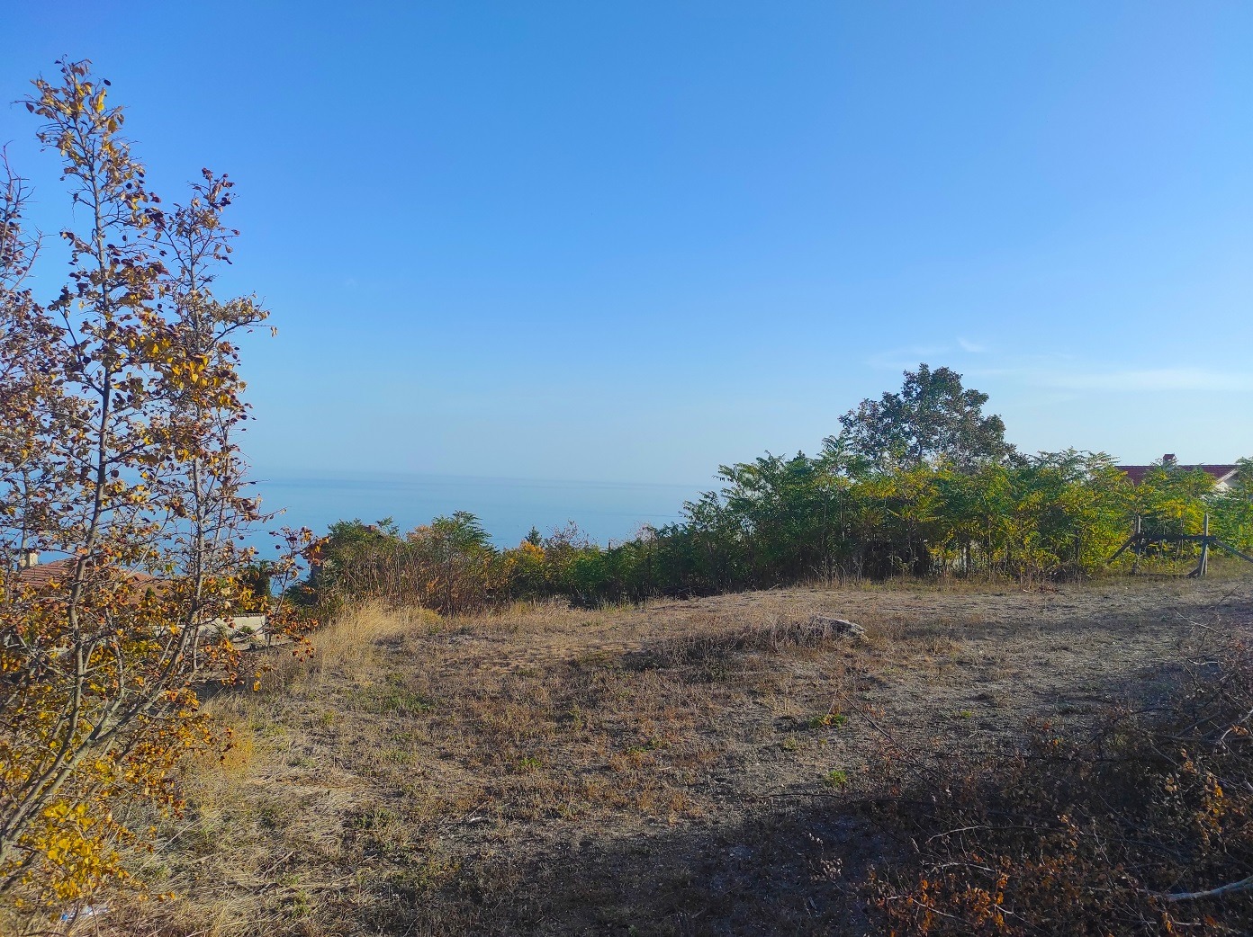 ������� ������ | Imot.bg � ����������� 5