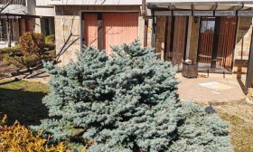 ������� 2-����� | Imot.bg � ����� ������ 5