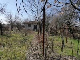 ����� ������� ����,�. �������, ������ ������