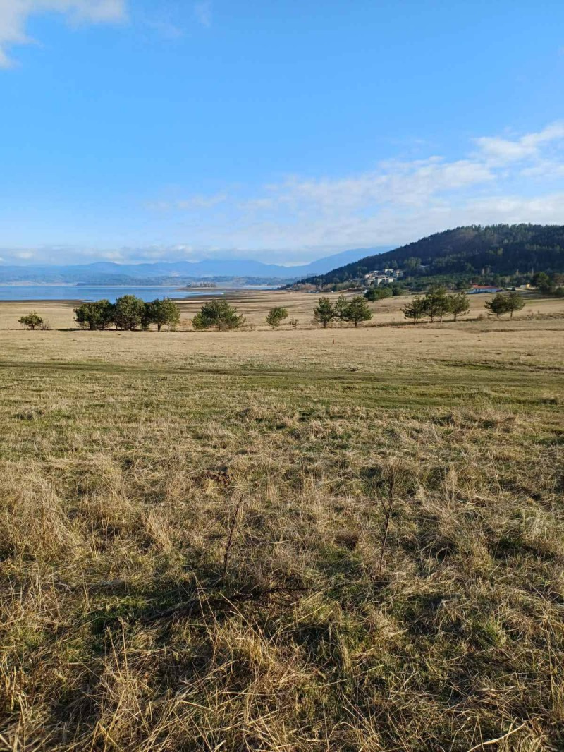 Продава ПАРЦЕЛ, м-т Цигов чарк, област Пазарджик, снимка 2 - Парцели - 53121768