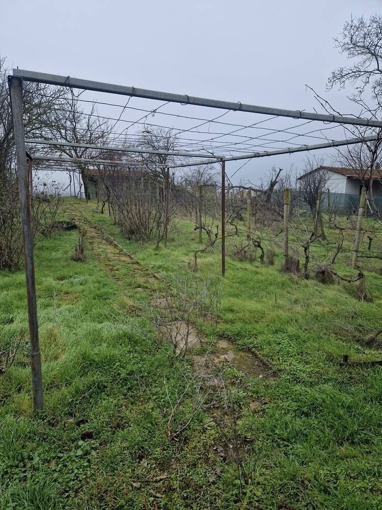 Продава ПАРЦЕЛ, с. Страшимирово, област Варна, снимка 9 - Парцели - 55526504