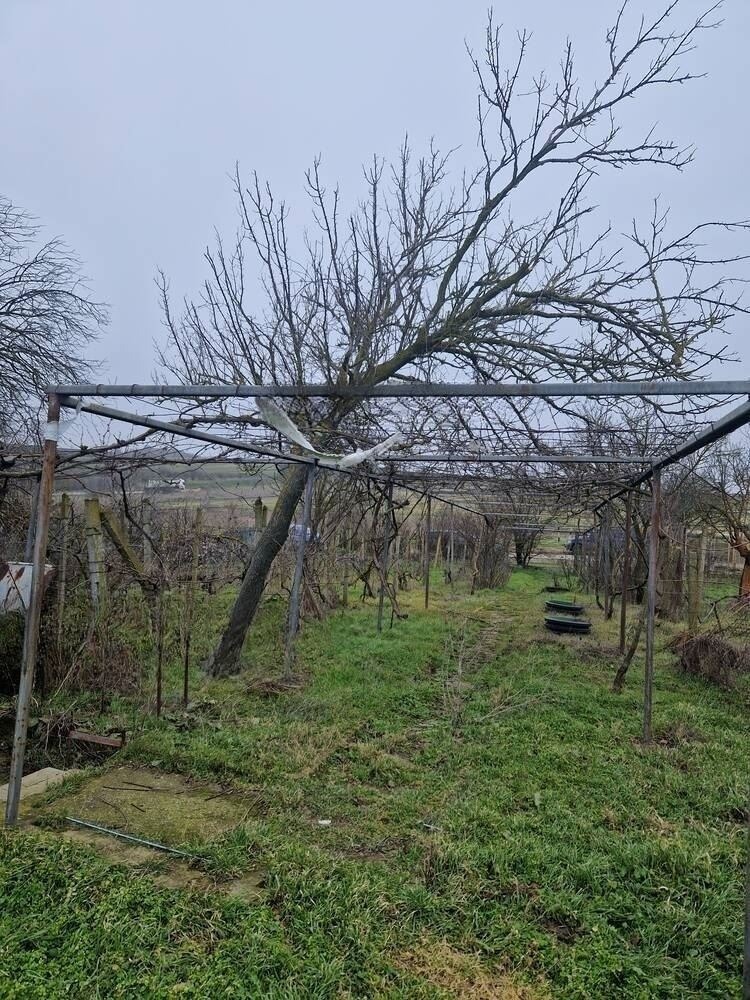 Продава ПАРЦЕЛ, с. Страшимирово, област Варна, снимка 4 - Парцели - 55526504