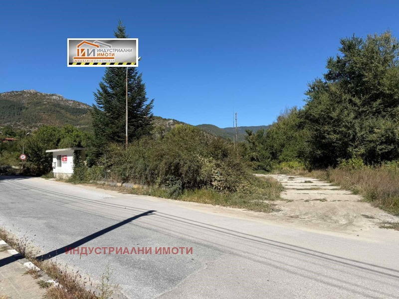 Продава БИЗНЕС ИМОТ, с. Павелско, област Смолян, снимка 9 - Други - 51692348