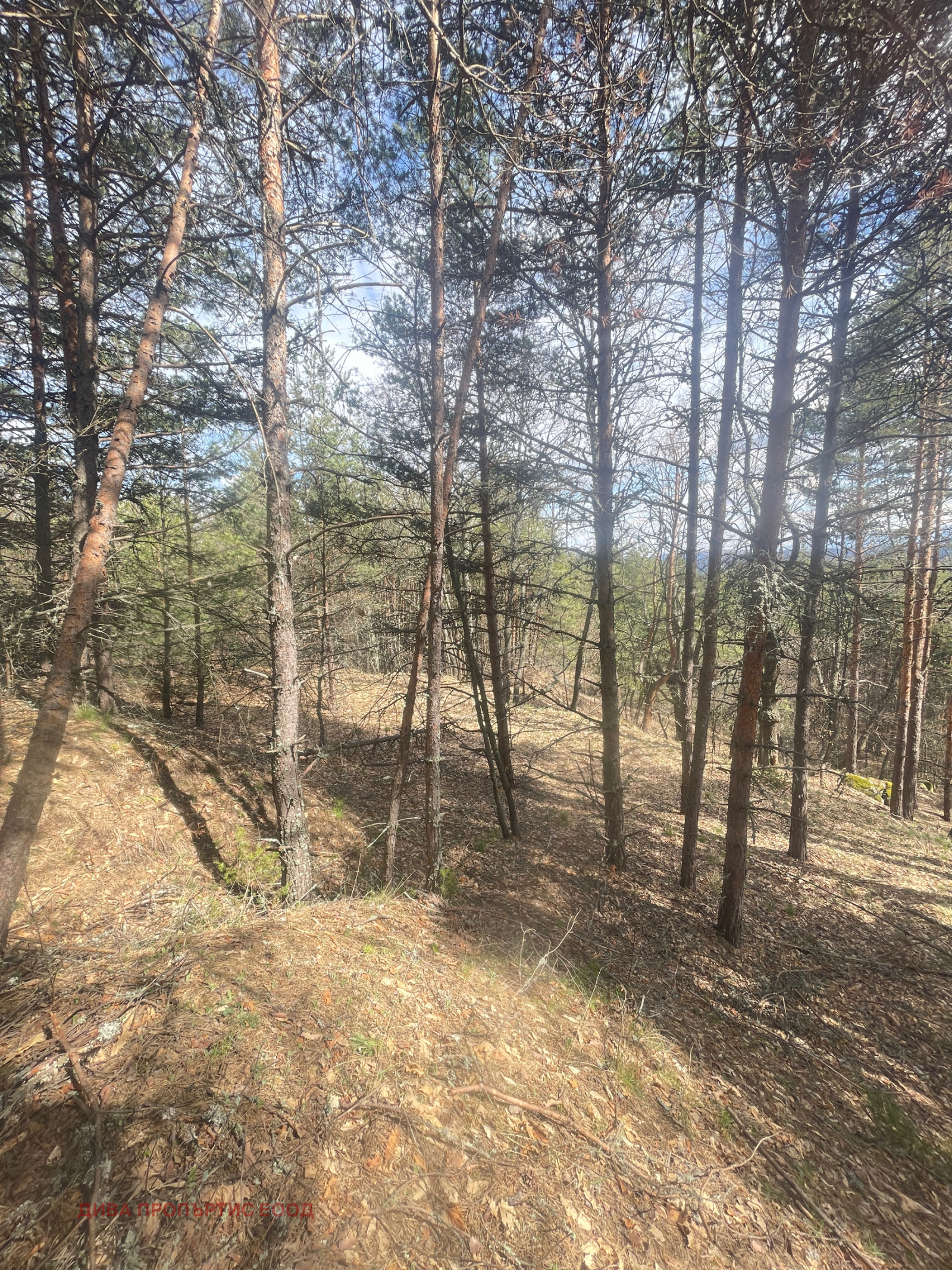 Продава ПАРЦЕЛ, гр. София, м-т Щъркелово гнездо, снимка 5 - Парцели - 54401874