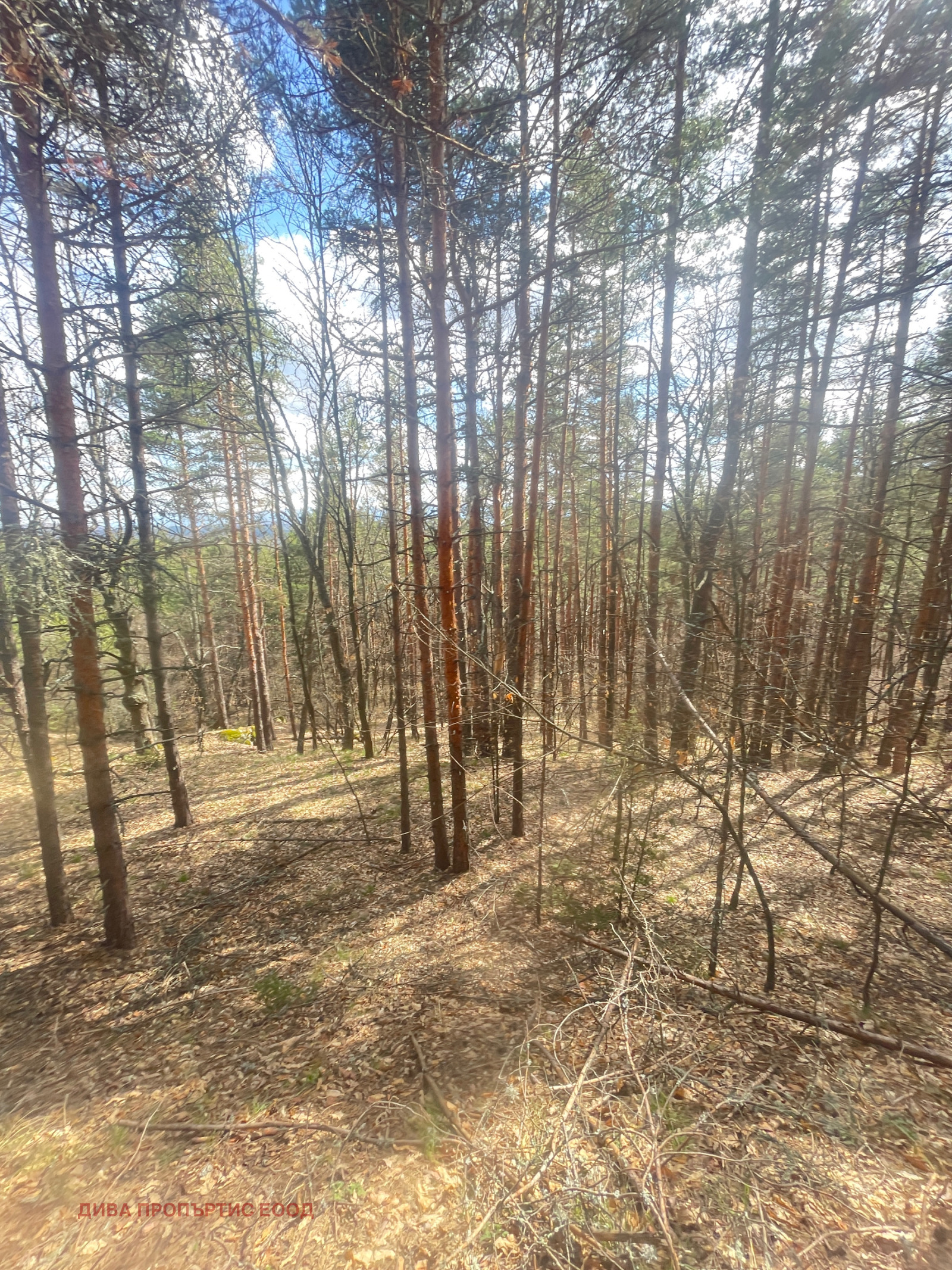 Продава ПАРЦЕЛ, гр. София, м-т Щъркелово гнездо, снимка 2 - Парцели - 54401874
