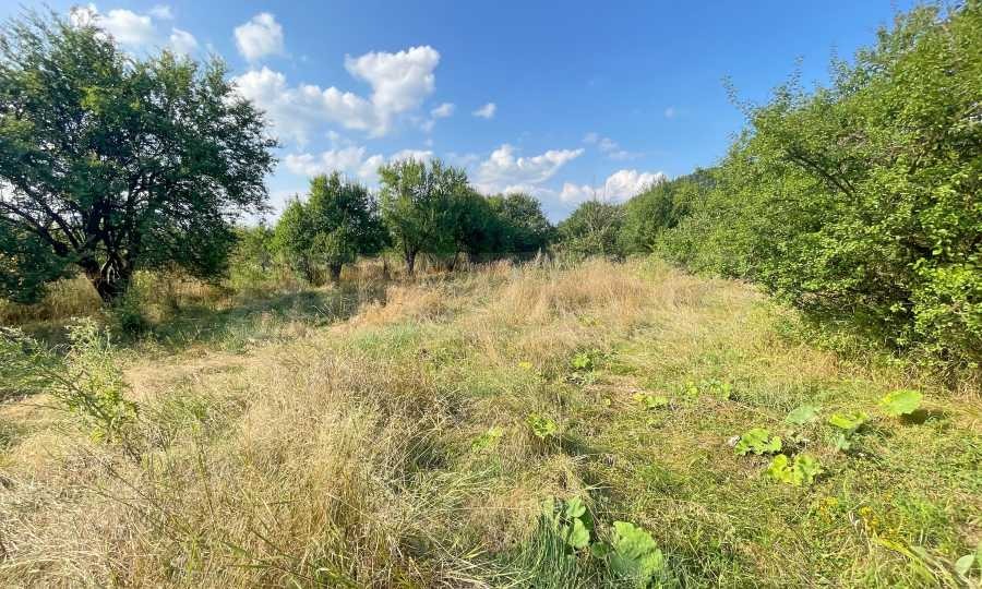 Продава ПАРЦЕЛ, с. Продановци, област София област, снимка 10 - Парцели - 55283059