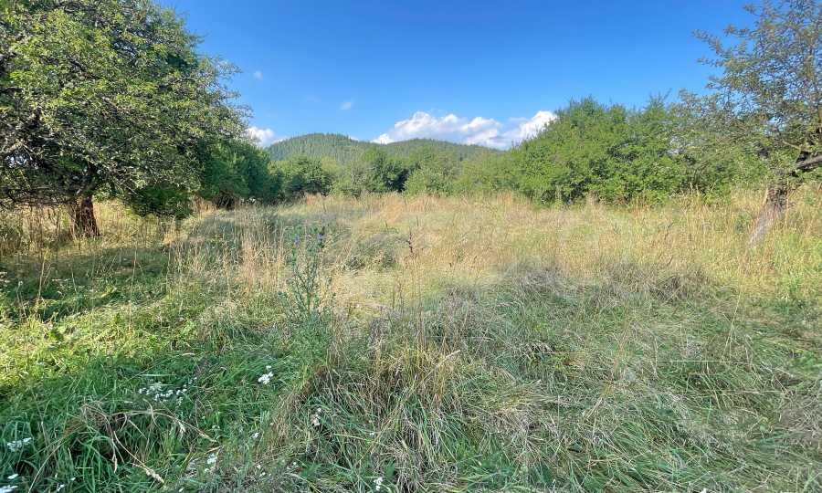 Продава ПАРЦЕЛ, с. Продановци, област София област, снимка 17 - Парцели - 55283059
