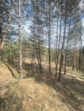 Продава ПАРЦЕЛ, гр. София, м-т Щъркелово гнездо, снимка 3