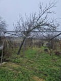 Продава ПАРЦЕЛ, с. Страшимирово, област Варна, снимка 4