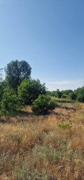 Продава ЗЕМЕДЕЛСКА ЗЕМЯ, гр. Видин, област Видин, снимка 6