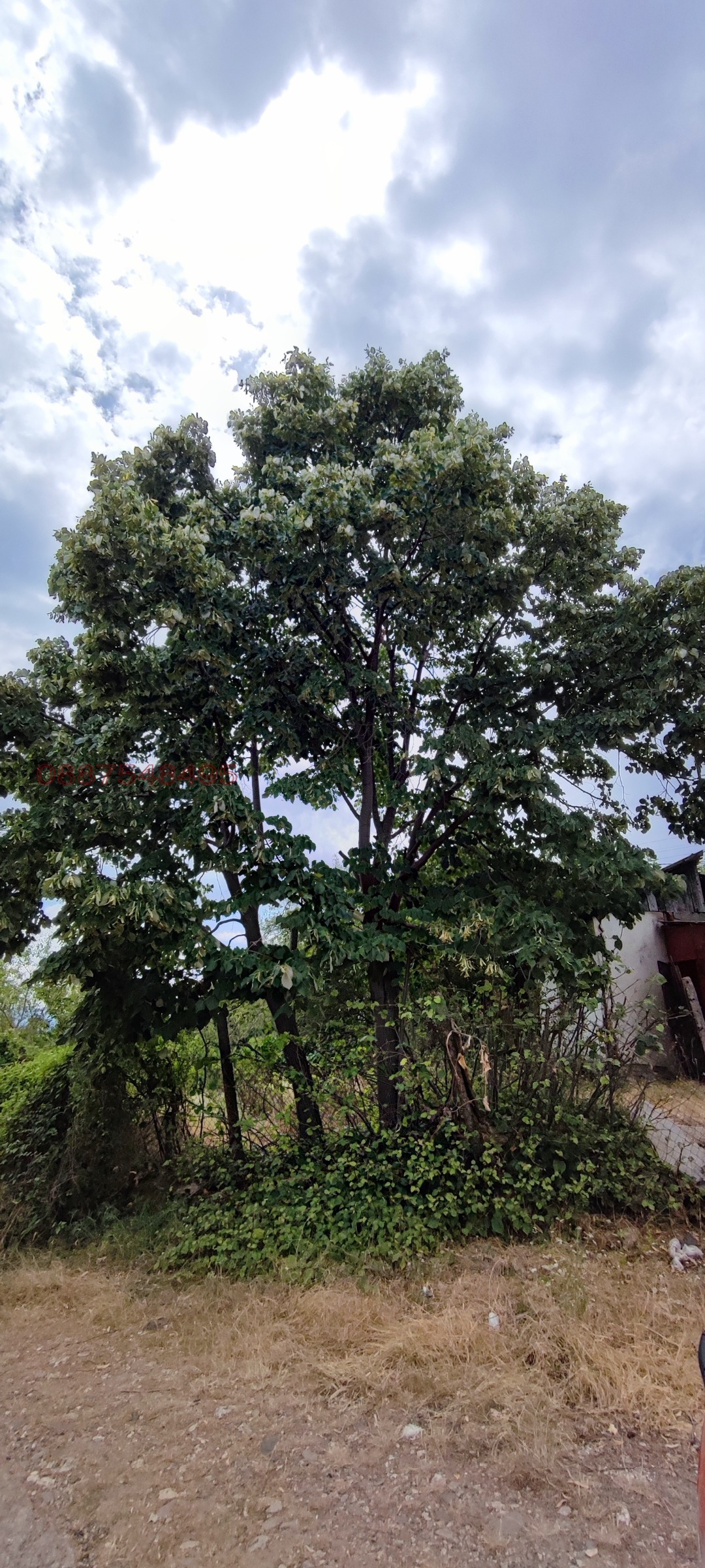 ������� ������ | Imot.bg � ����������� 5